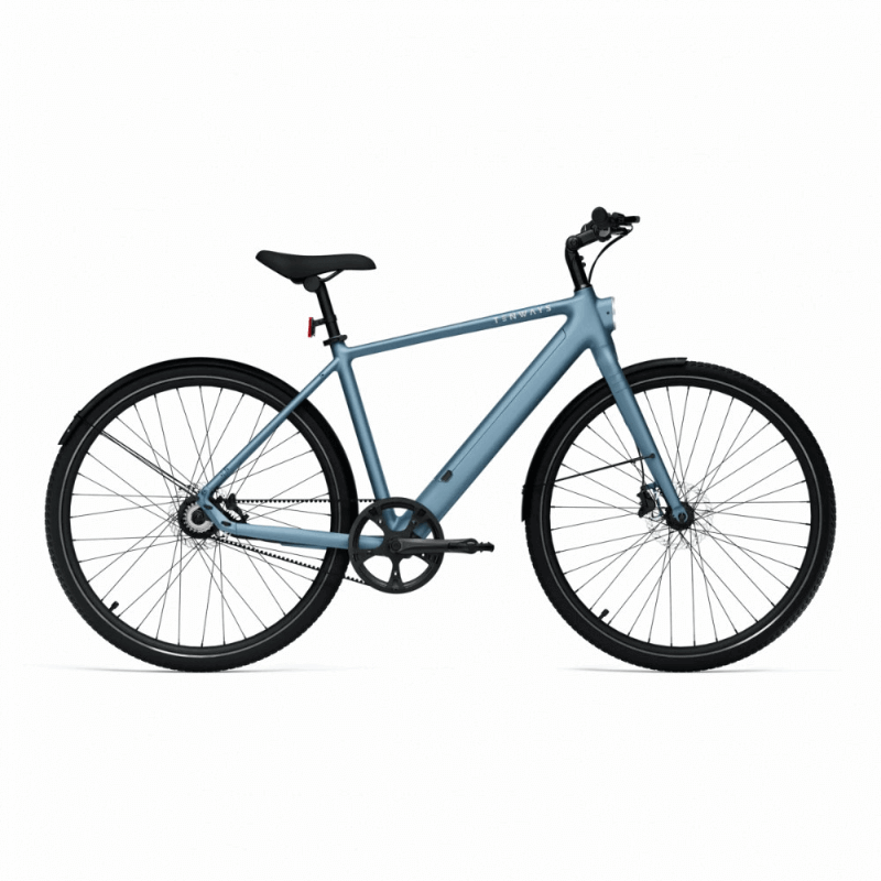 TENWAYS CGO600 Pro